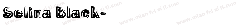 Selina Black字体转换
